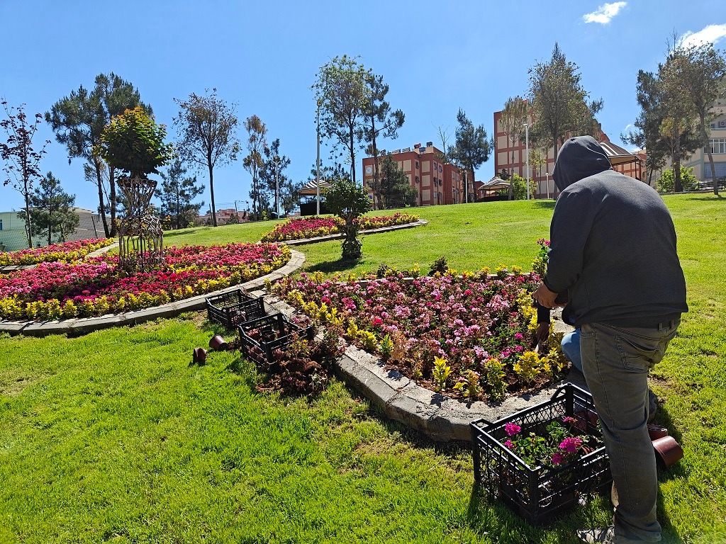 Eyyübiye