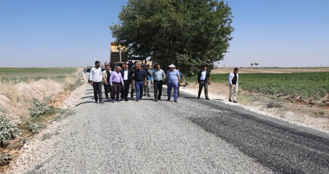 Suruç - Mürşitpınar Yolunda Sona Doğru